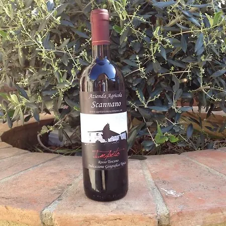 Alloggio per agriturismo Scannano Serre Di Rapolano