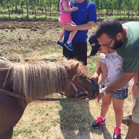 Alloggio per agriturismo Scannano *